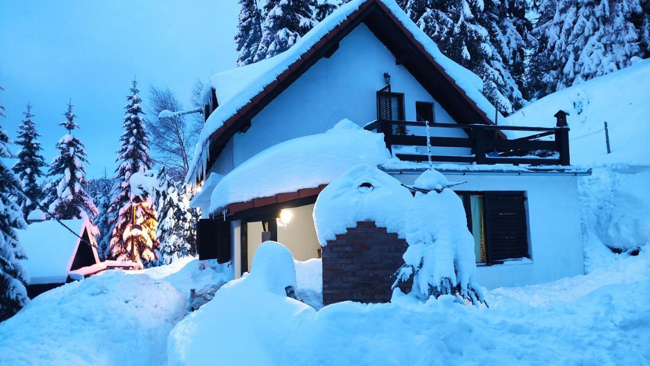 Uki & Sofi Mountain House Hotel Kopaonik Exterior foto